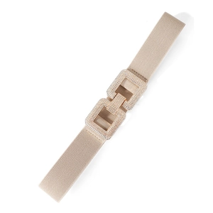 Detail of champagne gold metallic mesh belt with rhinestone interlocking square buckles