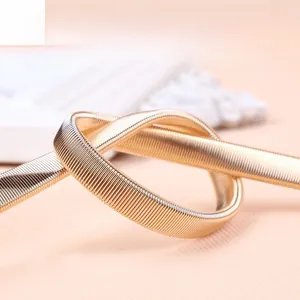 Detailed macro view of the flexible golden spring metal belt texture and craftsmanship