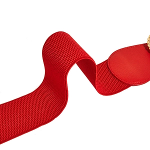 Détail macro d'une ceinture élastique rouge avec texture côtelée et boucle chaîne dorée