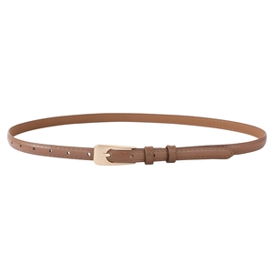 Detailed view of slim brown leather belt with gold metal pin buckle and dual keepers