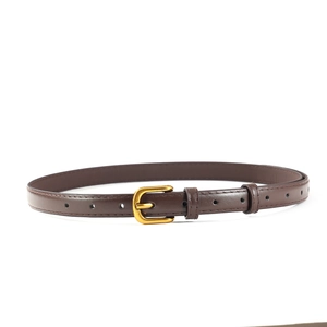 Détail d'une ceinture fine en cuir marron foncé avec boucle ardillon en métal doré