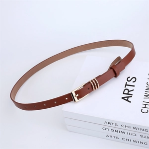Detailed macro view of a brown leather belt with gold pin buckle and decorative metal eyelets