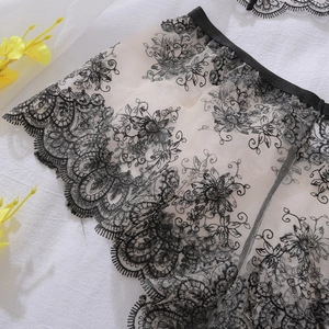 Close-up of intricate floral lace embroidery on beige sheer mesh with scalloped edges