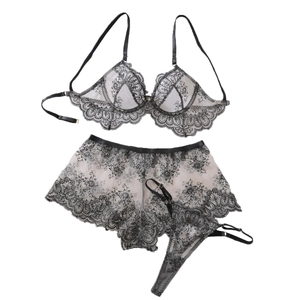 Three-piece lace lingerie set with embroidered underwire bra and garter skirt in off-white