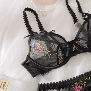 Detailed embroidery on sheer black mesh lace bra and panty set with colorful flowers