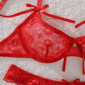 Detail of red lace lingerie set with satin bows and crystal pendant on white faux fur