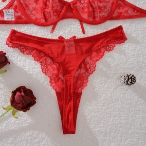 Detail view of red lace lingerie set with bow accent on white textured background
