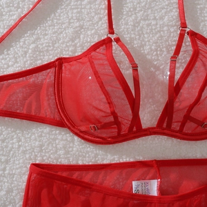 Détail d'un ensemble lingerie rouge en maille avec bonnets à armatures sur polaire blanche