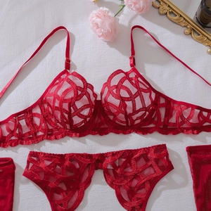 Detail of red floral lace lingerie set with sheer mesh and heavy embroidery finish