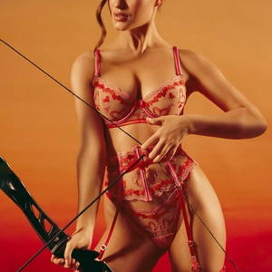 Detail of red heart embroidery on sheer mesh lingerie with a matching garter belt