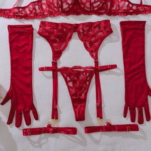 Detail of red lace lingerie set with complex embroidery, garter belt and mesh gloves