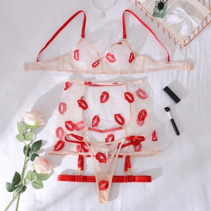 Detail of sheer mesh lingerie set featuring red lip embroidery and scarlet elastic straps
