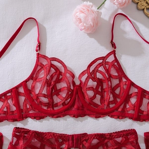 Detail of red lace lingerie set featuring geometric embroidery and underwire support