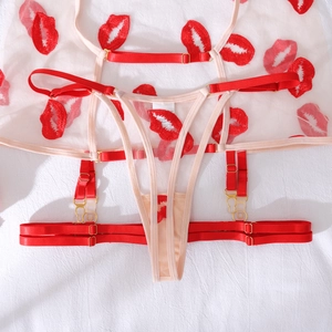 Detailed macro of sheer mesh lingerie with red lip embroidery and gold buckles