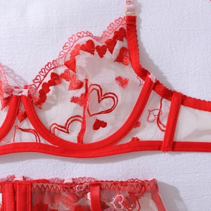 Detail of red heart embroidery on sheer mesh lingerie with delicate scalloped lace edges