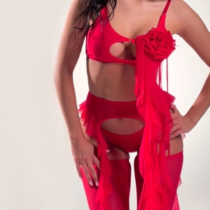 Détail d'un ensemble de lingerie en mesh rouge avec roses 3D et jarretières à volants