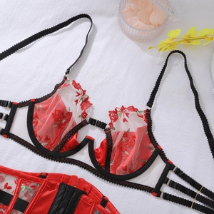 Detail of red rose floral embroidery on mesh bra with black elastic straps and gold buckles