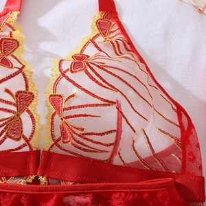 Détail de lingerie en maille rouge avec broderie papillon jaune et dentelle cil