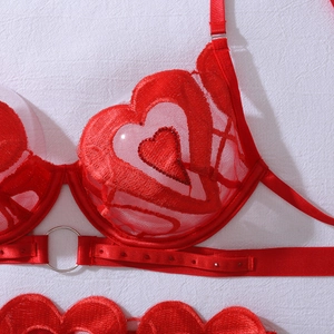 Detail of red heart embroidery and mesh on underwire bra with silver ring hardware