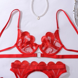 Detail of red lace lingerie set with heart embroidery and metallic ring ornaments