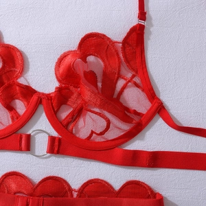 Detail of red heart embroidery on sheer lace lingerie with a central metal ring accent
