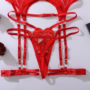 Detailed view of red heart lace garter belt and thong with silver metal rings