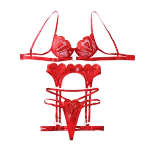 Sexy red mesh lingerie set with heart embroidery, garter belt and thong in a 3-piece set