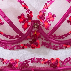 Macro shot of red floral embroidery on mesh lingerie with a gold and ruby teardrop pendant