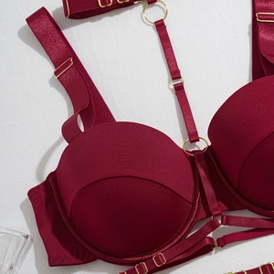 Détails d'un soutien-gorge bordeaux avec anneaux dorés et bretelles au style moderne