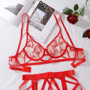 Détail de broderie cœur rouge sur lingerie en mesh transparent avec bretelles à lacets dorés