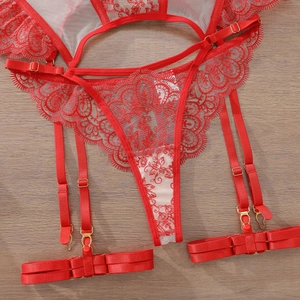 Détail du porte-jarretelles en dentelle rouge et du string avec boucles en métal doré