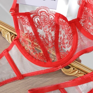 Détail de la broderie en dentelle florale rouge et du tulle sur un soutien-gorge