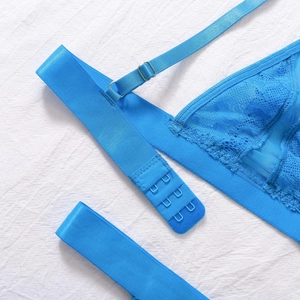 Dettaglio reggiseno in pizzo blu acceso con chiusura posteriore a tre ganci e mesh