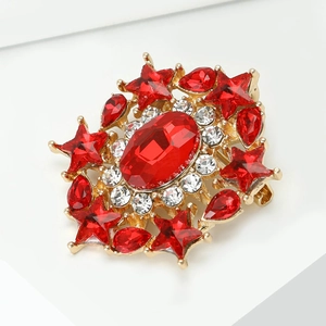 Macro shot of luxury red star-shaped brooch with oval gemstone and gold-plated details