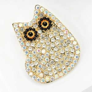 Detail showing an owl brooch with sparkling rhinestones and vibrant orange crystal eyes