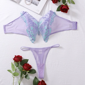 Detail view of purple mesh butterfly embroidery lingerie set with romantic rose decor
