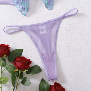 Detail of lavender sheer mesh thong featuring fine straps and floral embroidery accents