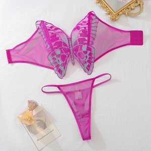 Detail of sheer mesh lingerie set with blue butterfly embroidery and purple lace texture
