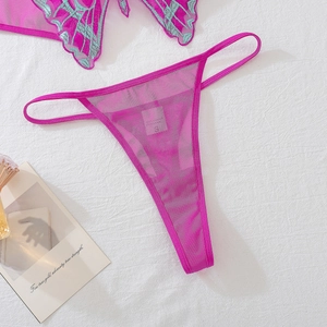 Detail of sheer mesh thong featuring bright pink butterfly embroidery and lace fabric