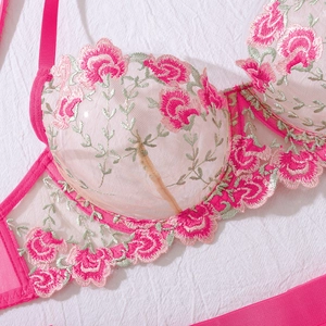 Dettaglio del ricamo floreale rosa e pizzo verde sul set di lingerie in mesh velato