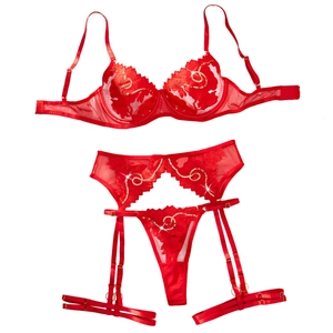 Rotes durchsichtiges Dessous-Set mit goldenen Pailletten und floraler Stickerei