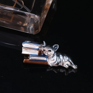 Detail of creative lazy cat and books enamel brooch on a reflective black surface
