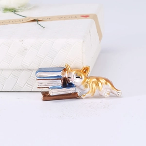 Detailed view of an orange cat resting on books brooch on a white gift box background