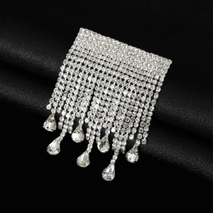 Vue détaillée d'une broche à franges argentée avec strass scintillants et cristaux