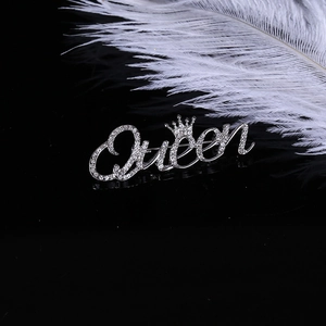 Macro detail of silver Queen letter brooch with crown design and shimmering rhinestones