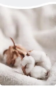 Détail des fibres de coton naturel pur montrant la texture douce de haute qualité