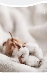 Detailed view of raw 100% natural cotton bolls on soft white organic baby fabric