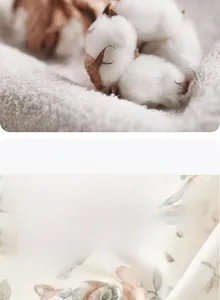 Détail du tissu en coton doux à motifs floraux pour bodies et barboteuses de bébé