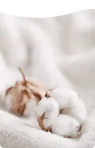 Détail de fibres de coton 100% naturel pour des vêtements thermiques doux pour bébés