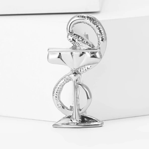 Silver Bowl of Hygieia brooch featuring a snake and chalice for medical professionals